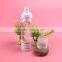 100ml Repair cream transparent bottle