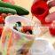 2015 High Quality BPA Free Plastic Salad Shaker cup With Fork