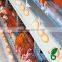 egg collection belt for sale
