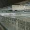 manure conveyor belt for poultry farm quail cages