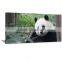 With Frame Panda Canvas Printed Painting Art Livingroom Decor DWYS23