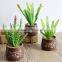 High Quanlity Succulent Plants For Decoration Artificial Plants Succulents Wholesale