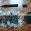 solar string light