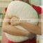 Heart Vibrating Sponge Pillow
