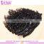 Supplier Best Selling Brazilian Remy Human Kinky Curly Clip In Hair Extension For Black Women