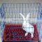 Cheap Welded Wire Mesh Rabbit Cage made in China
