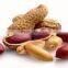 Groundnut 2015 New Crop from India