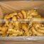 Chinese ginger fresh vegetable importers
