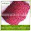 Frozen Lingonberry