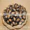 Bulk Packaging Fresh Black Seed Watermelon Seed in Competitive Price