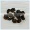 Small Bowl Agaric, Fungo preto, Hongo negro