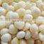 fresh white garlic in brine