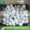 Low price new crop solo garlic for wholesales