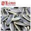 Premium Cheap Hot Sale Sunflower Seeds