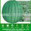W01 New one big size f1 hybrid seedless watermelon seeds
