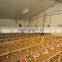 Poultry equipment slat floor for broiler farm