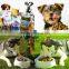 animal feed extruder machine for pet and fish