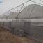 Cheap Easily Inatalled Plastic Film Vegetable Greenhouse