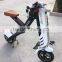 Mini Electro Bike, Folding Electric Bike 36V 400W, Light 10inch Electric Folding Bicycle