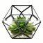 Yiwu direct wholesale,cheap price Cacti Holder Case & Glass Terrarium Diamond