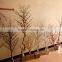 GNW WTR016 Dry Branches Table Centerpieces Winter Tree For Decorations