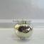 Electroplate Apple shape porcelain decoration