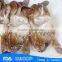 HL003 Hot-selling half cut crab cheap price