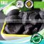 vitamin rich organic snack green food fermented peeled black garlic bulb china free sample