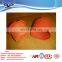 Oil Industrial Plastic Pipe Thread Protectors Form 