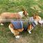 2020 best selling pet autumn and winter big hairy collar double face waterproof clothes