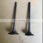 Intake Valve and exhaust valve for ford focus