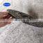 China Supplier Asbestos-free Clutch plate for Kubota M6040