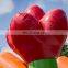 Beautiful Inflatable Flower Bounce House Combo With Slide