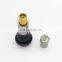 Auto Parts Natural Rubber Tubeless Snap In Tire Valve TR413C With Customized Logo Cap