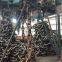 Stud Link Marine Anchor Chains With RINA Certificate