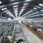 Steel Structural Building Fabrication Poultry Farm Shed for Pig/Cow/Goat in China