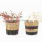 Best Seller Woven Natural Black Stripe Mini Seagrass Planter Set of 2 Storage Basket Plant Holder Wholesale