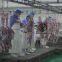 Best Quality Halal Sheep Abattoir Machinery Halal Slaughter Line Machine Meat Rail System Double Track Pulley Hooks