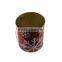 Children Toy Sandy Beach Shell Large Tin Buckets