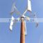 1kw low rpm permanent magnet alternator/vertical axis wind turbine price