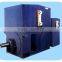 Shanghai Quanlai Electric YR Series High Voltage Three Phase AC Motor