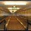 Stable Moving Sidewalk export