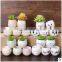 2016 Small ceramic & Enamel table garden pot table flower pot for succulent plants