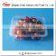 Disposable Clear Plastic Clamshell Containers for Fruit