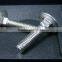 Stainless Steel Bolt