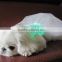 2015 beautiful luminous fiber clothes clothing coat dog apparel pet                        
                                                Quality Choice