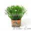 wholesale bonsai artificial onion grass decorative onion grass bonsai with flower