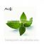 Slim fit Green Organic Dried Mint Leaves Loose weight Herbal Tea Peppermint Tea bags in sachet bag