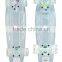 PC material skateboard LED deck