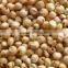 Organic Sorghum/Jwar